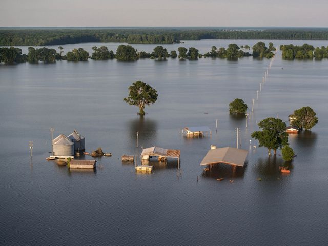 An aerial photo shows the tops of houses and trees rising above floodwaters.