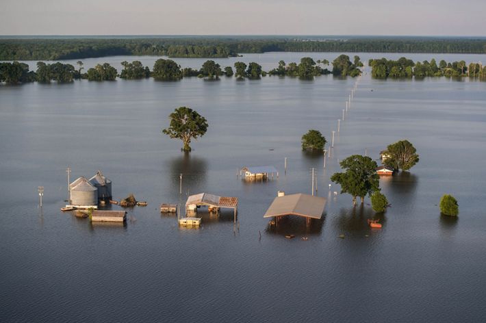 An aerial photo shows the tops of houses and trees rising above floodwaters.