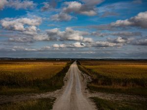 A dirt road runs in the middle of agricultural fields.