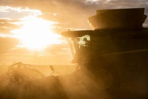 The sun shines hazy light through farm equipment.