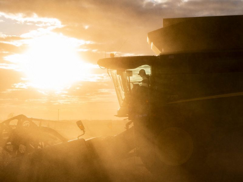 The sun shines hazy light through farm equipment.