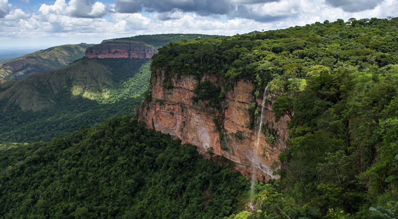 Una angosta cascada cae desde un barranco en un bosque frondoso