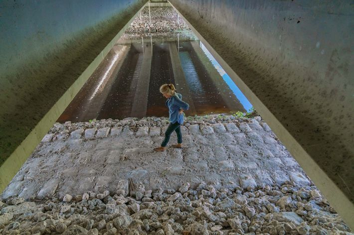 Una mujer busca huellas en un cruce de vida salvaje