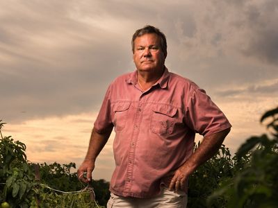 A man stands amid vines on his tomato farm.