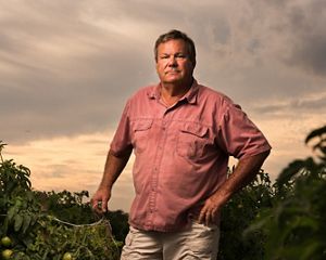 A farmer stands among his tomato plants.