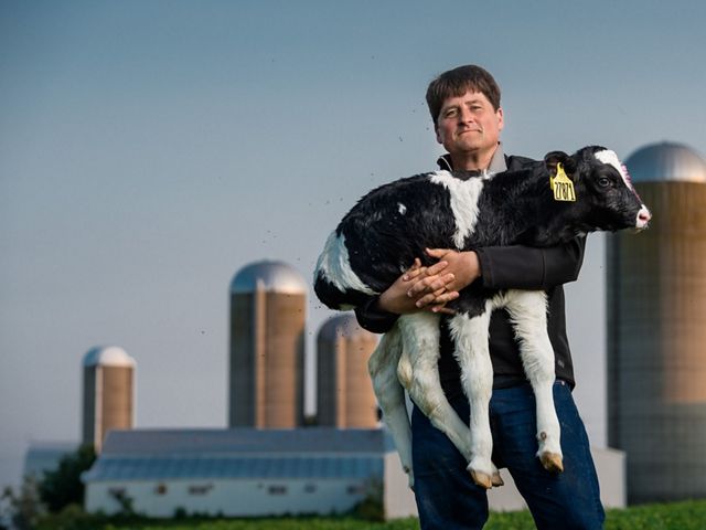 A Wisconsin dairy farmer holds a calf.