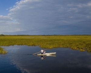Two people in a canoe float on a lake surrounded by tall wild rice.