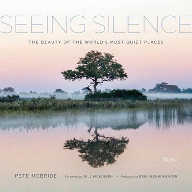 book cover for Seeing Silence.