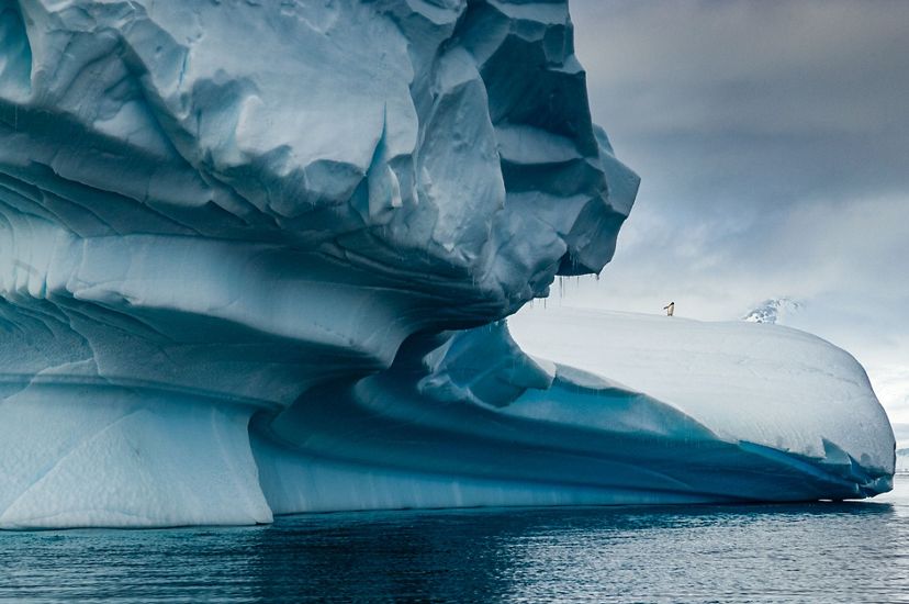 blue-white ice form stretches out over icy water with a single penguin poised near the edge of the ice over the water