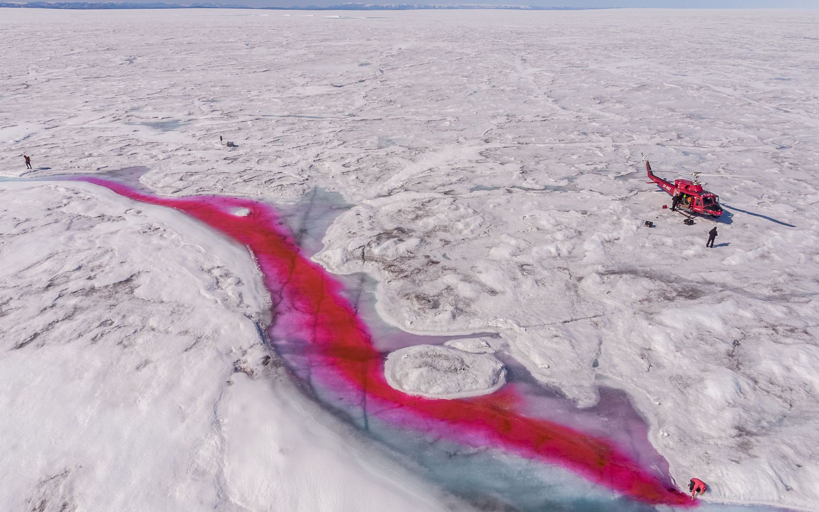 A red dye shows water flow dynamics on an ice sheet in Greenland