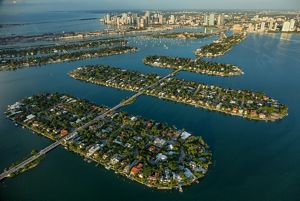 Damas De Compañia En Miami Florida