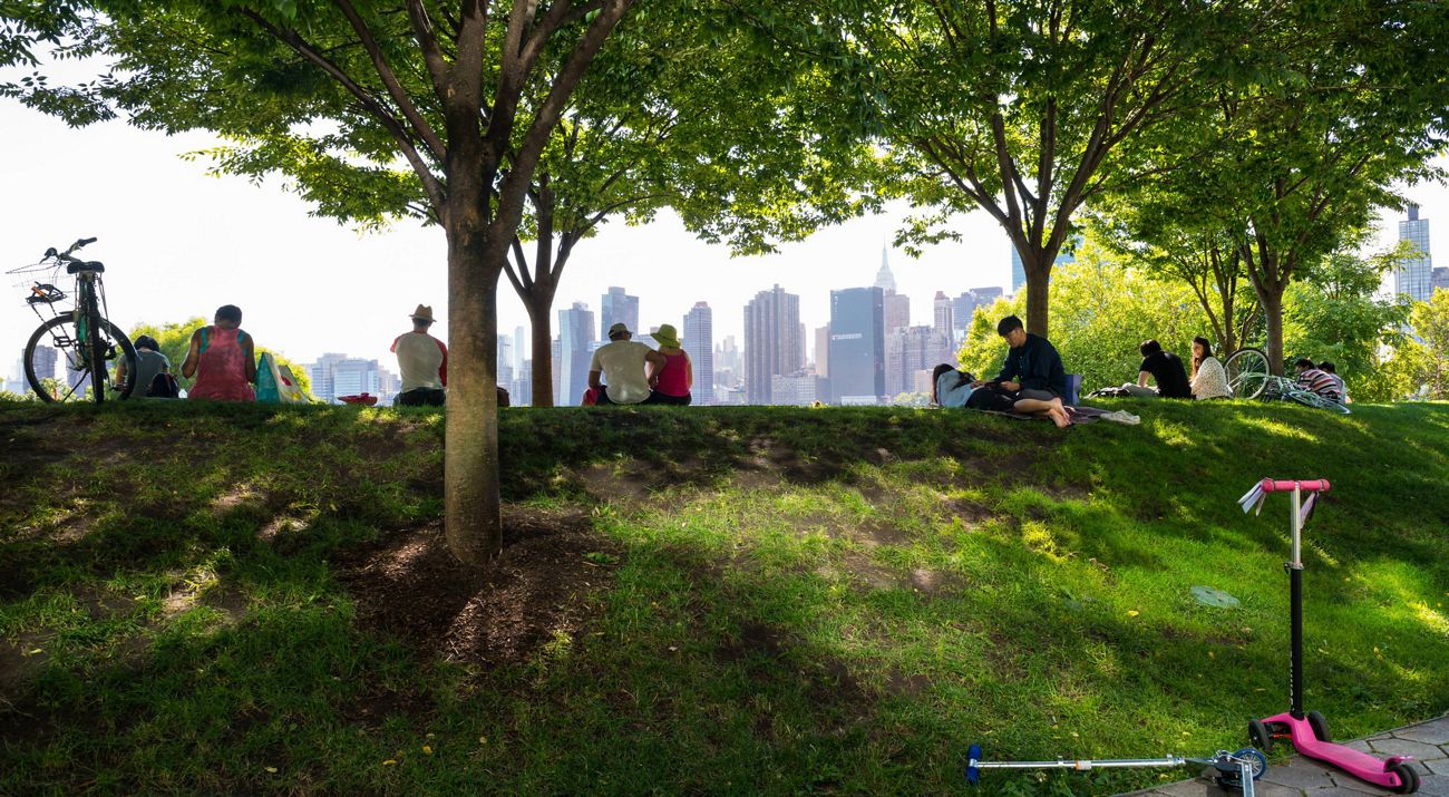 Gente sentada debajo de árboles viendo el horizonte de Nueva York.