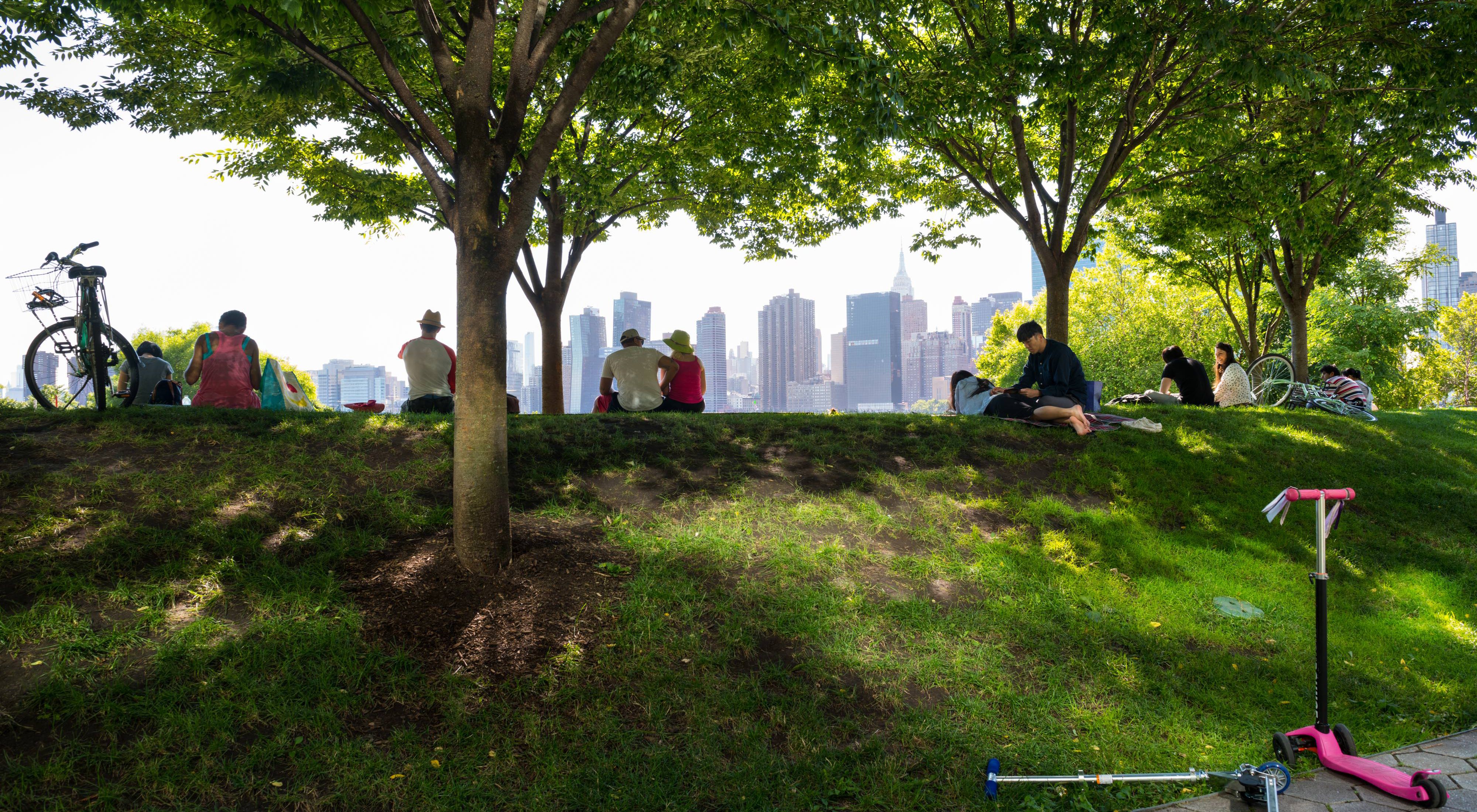 People sit under trees looking at the New York City skyline.