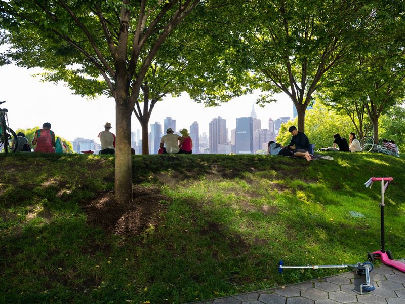 A shot of Gantry Plaza's trees with the NYC skyline in the background.