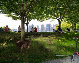 Gente sentada debajo de árboles viendo el horizonte de Nueva York.