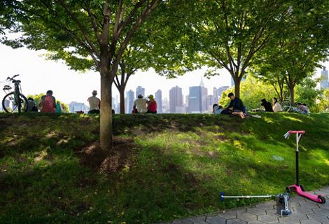 Gente sentada debajo de árboles viendo el horizonte de Nueva York.