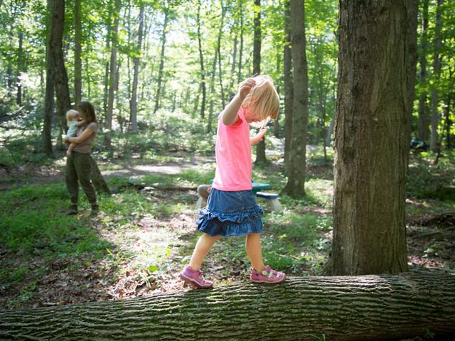 A little girl walks on a log in a forest with her mom and sister in the background