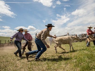 Zumwalt Prairie 270x207