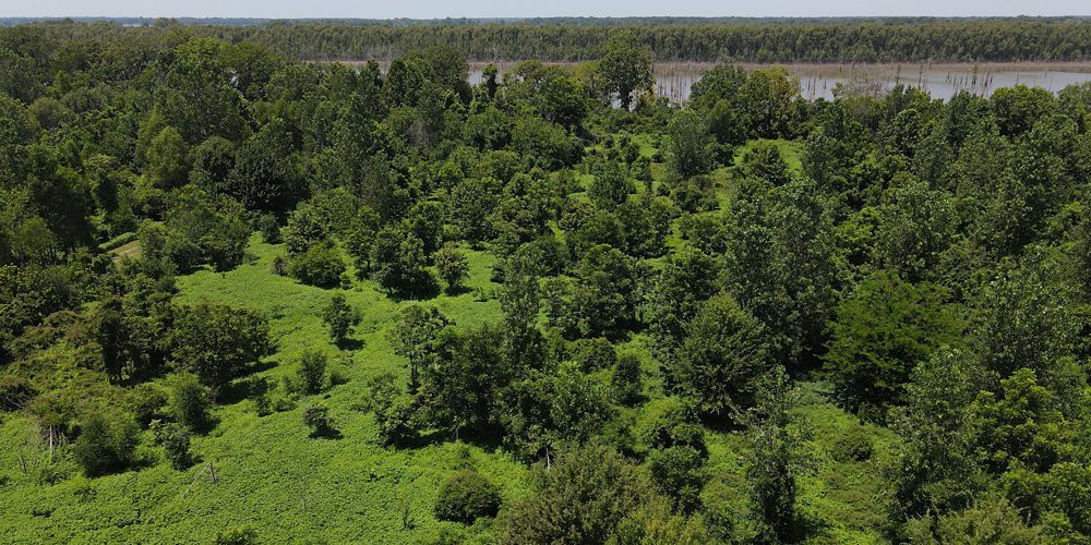 Aerial image of Loch Leven and the brown Mississippi River.