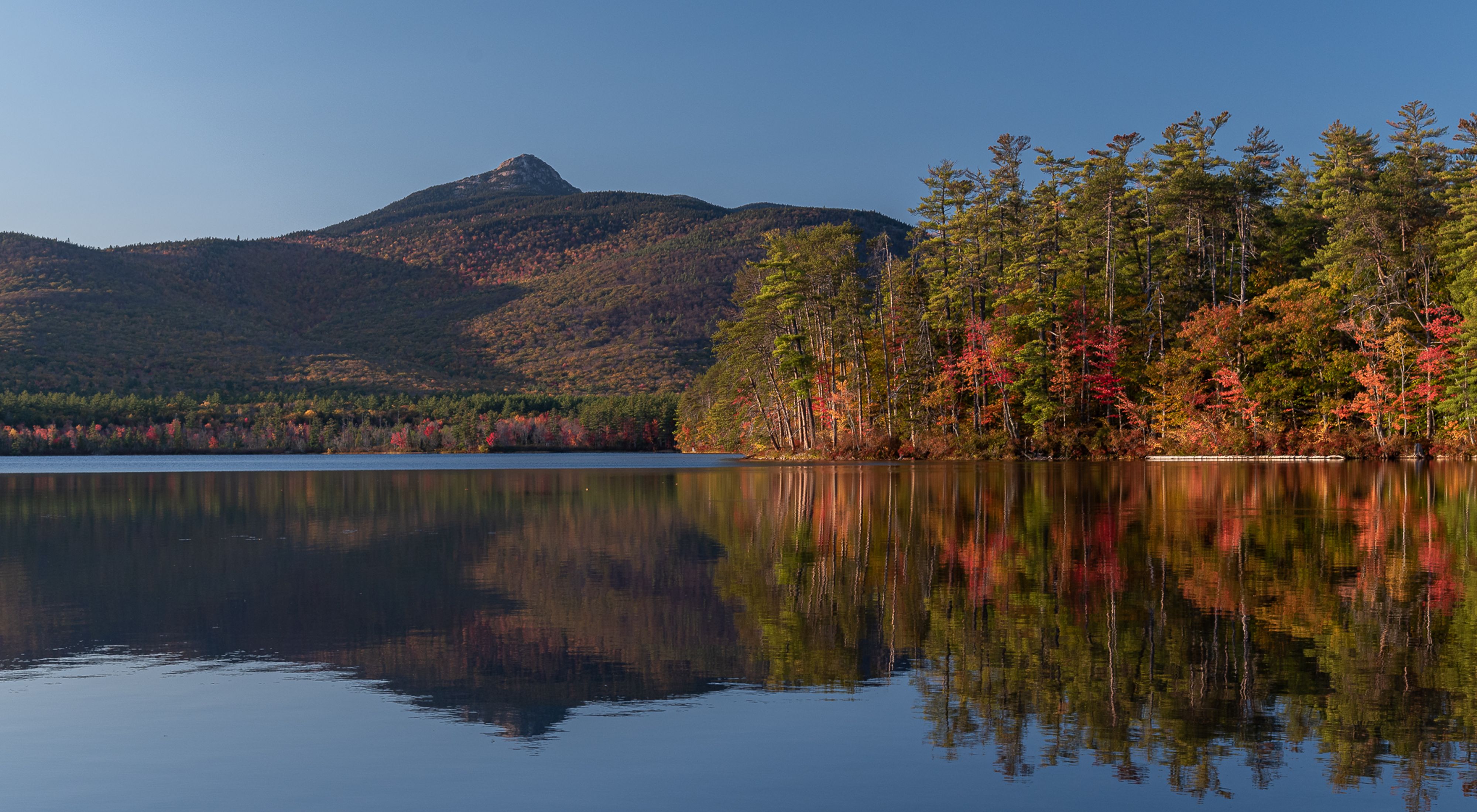 Fall colors in trees along a lake with a mountain in the background.