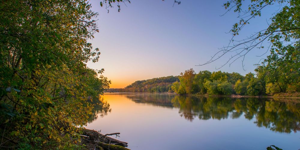 On the edge of the river, with forest to the left and the river on the right at sunset/sunrise.