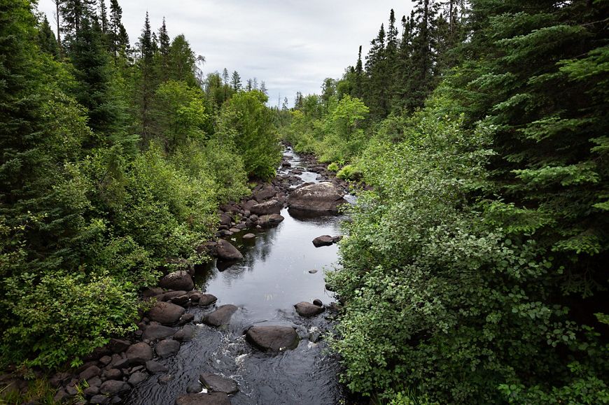 A river flows over rocks through a dense green forest.
