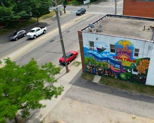 Aerial image of the Frogtown neighborhood showing the lack of tree canopy.