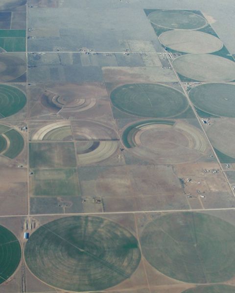 Aerial of square plots of land with circular markings.