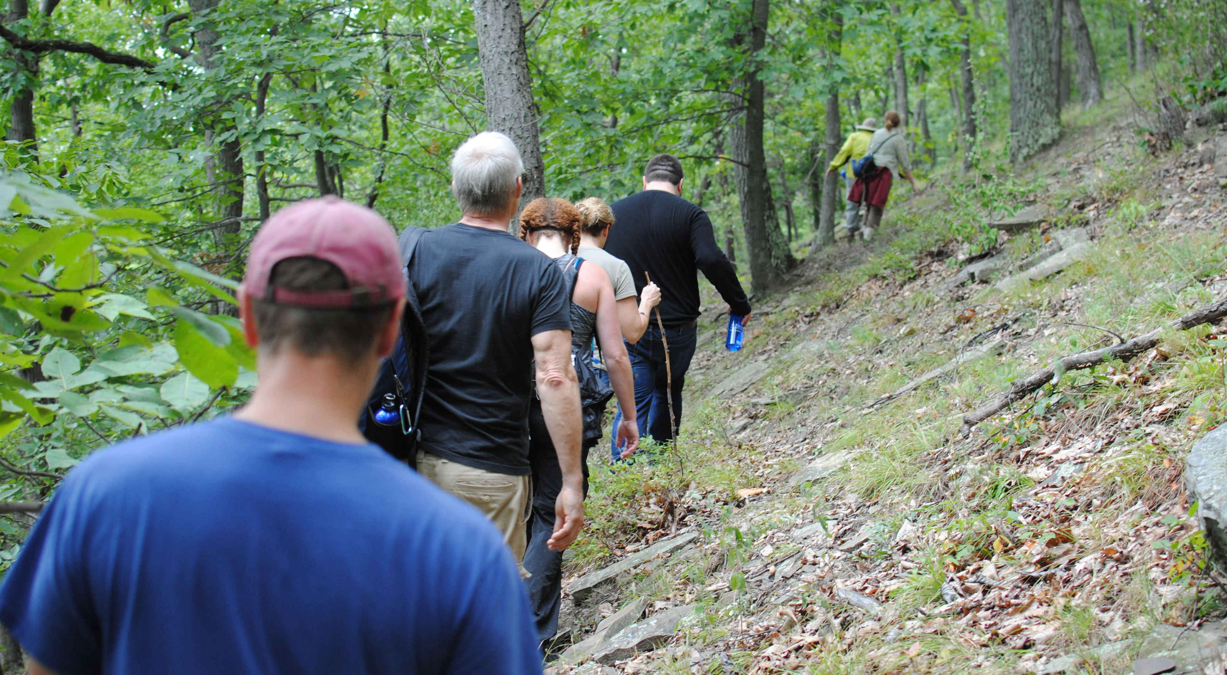 A group of hikers on a trail with backs to the camera.