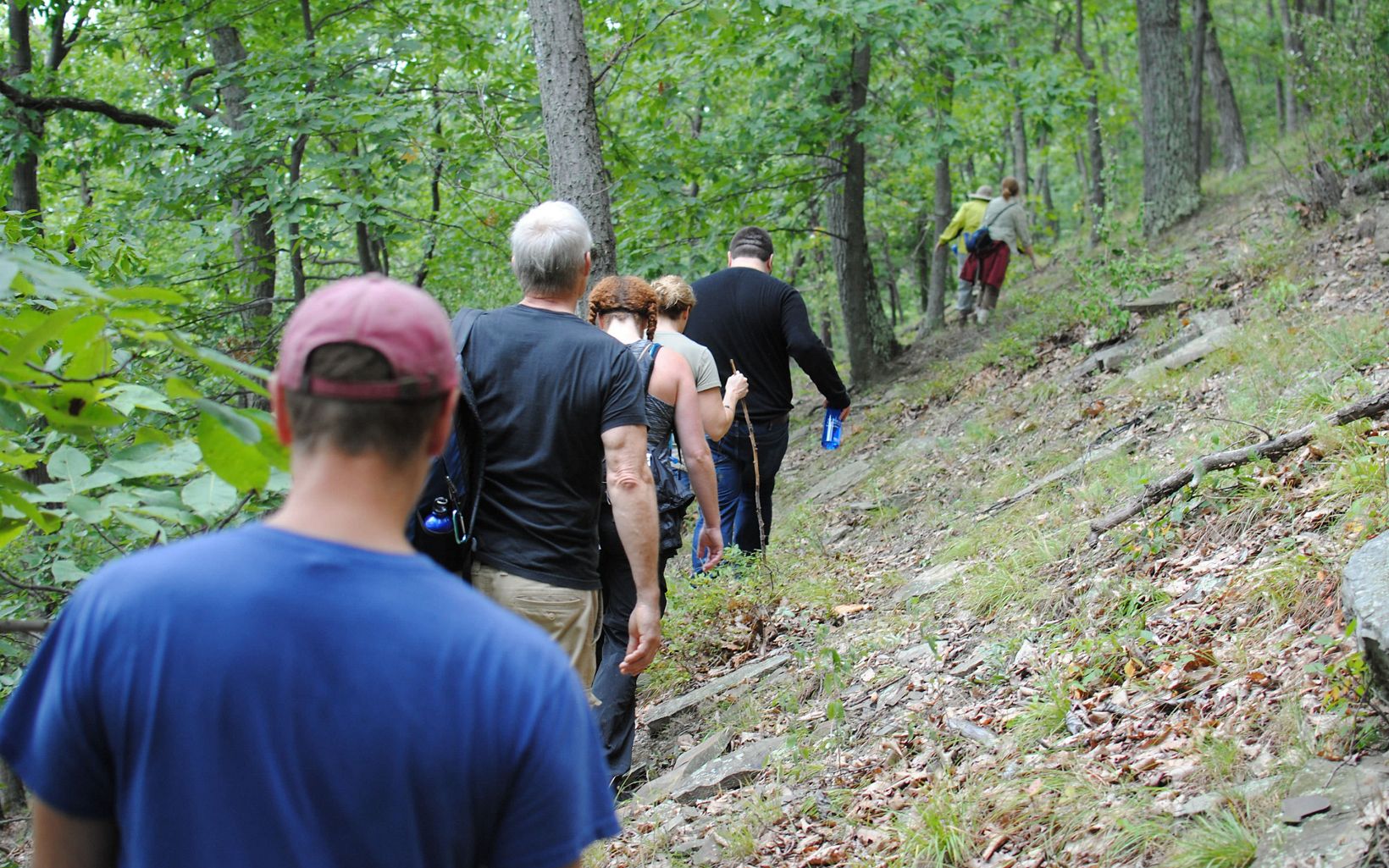 Seven people walk in a line along a narrow forest trail. To their left is a thick line of trees. To their right, the open ground rises in a steep grade.