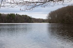 A wide river flows past a dormant forest.