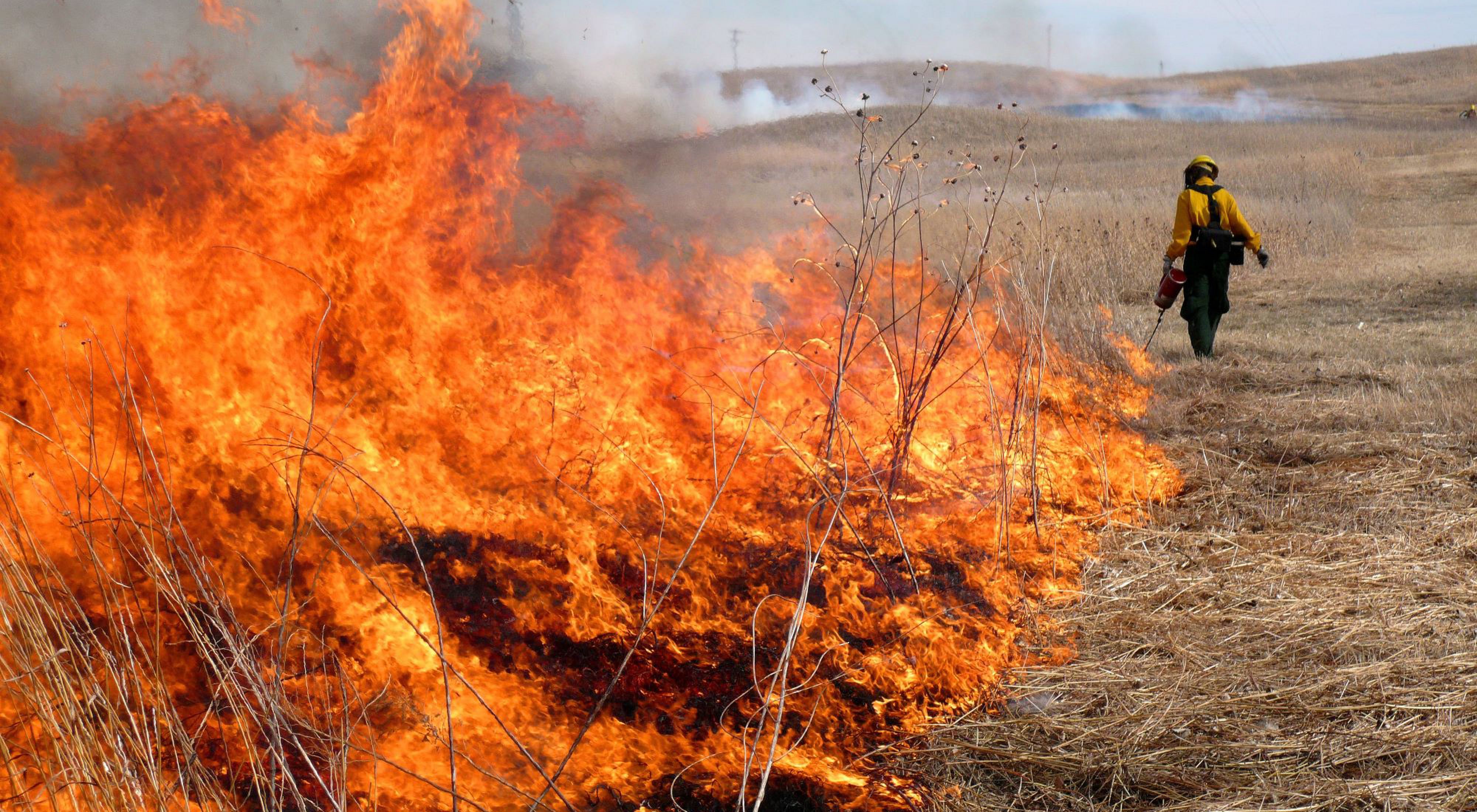 A person carries a drip torch and lights a head fire at the Derr tract sandhills prairie in Nebraska.