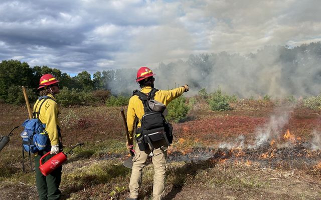 Two people in yellow fire gear stand in a smoke filled field. One points towards the distance.