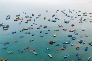 A bird's-eye view of dozens of colorful fishing boats on the water.