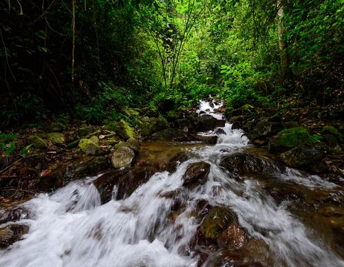 Colombia, Valle del Cauca, Municipio de Pradera, quebrada agua clara en la via a la vereda el arenillo