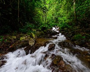 Colombia, Valle del Cauca, Municipio de Pradera, quebrada agua clara en la via a la vereda el arenillo