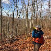     TNC's Stuart Hale and other TNC staff monitor a forest being managed for carbon sequestration through TNC's Clinch Valley program in Virginia.   
