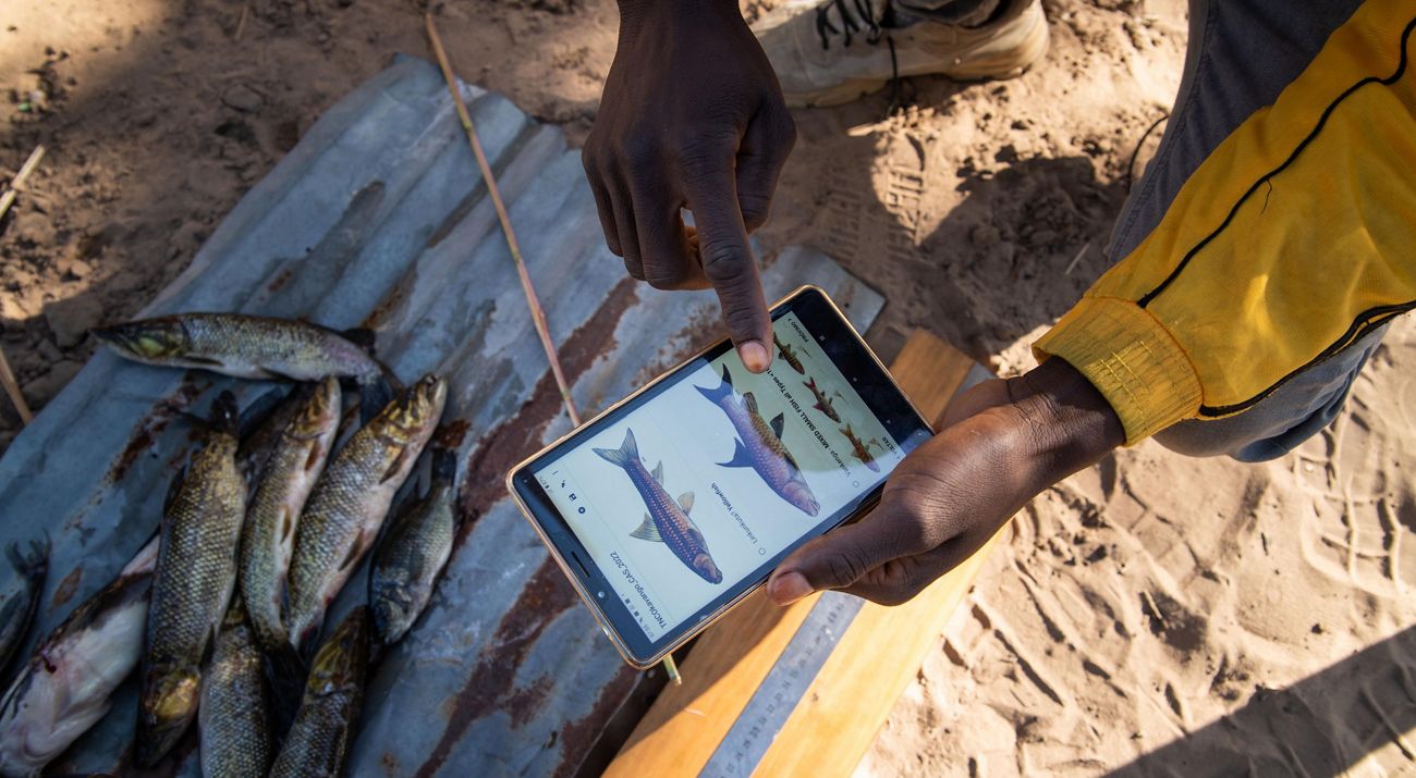 A person holds a small tablet and looks at pictures of fish species.