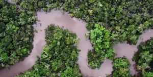 Aerial image of a winding Amazon River.