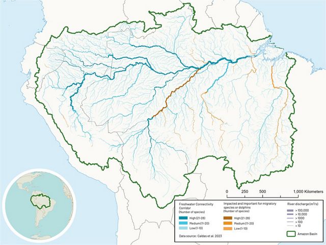 Map of the Amazon Basin river connectivity.