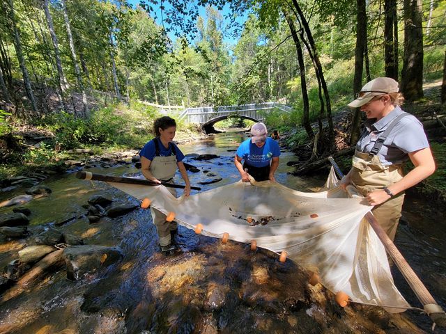 TNC staffers use a sein net to study the wildlife in a Georgia stream.