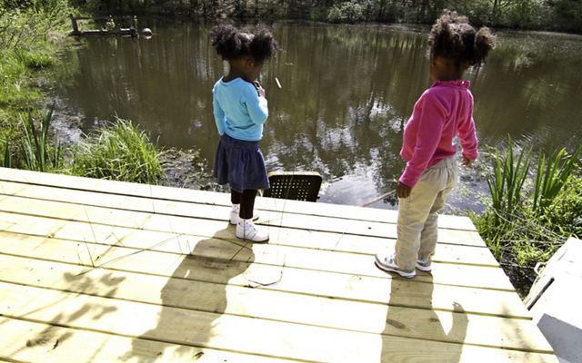 2 niños pequeños están en un muelle y miran hacia un arroyo en un día de primavera.