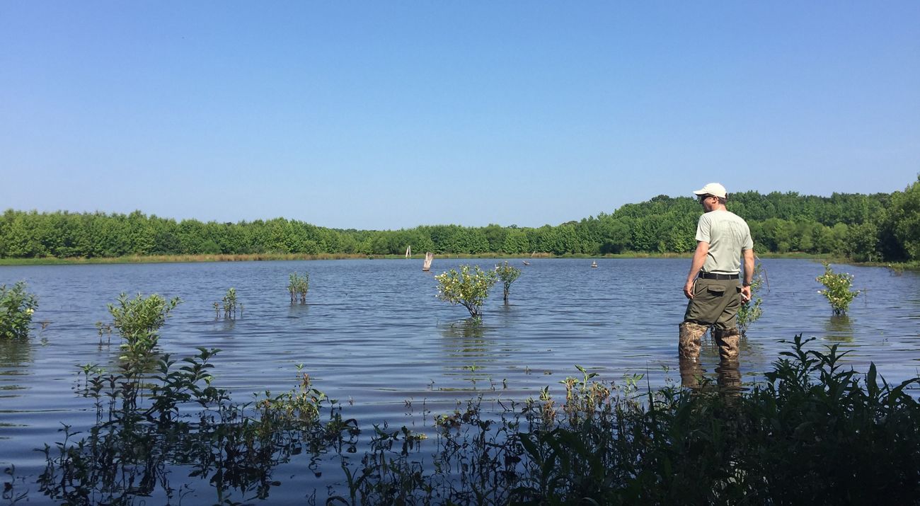 A man wearing tall wading boots stands in knee deep water in a large pond surrounded by trees and shrubs.