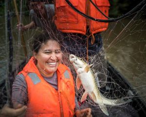 TNC Gabon Program Director Marie-Claire Paiz and science expedition team collect fish via gillnetting.