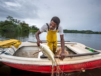 Man pulls a fish into boat