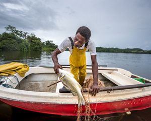 man pulls fish out of lake