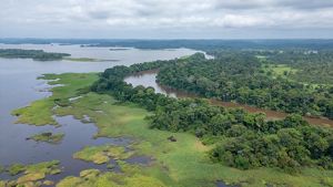aerial view overlooking a lake and a river meeting.