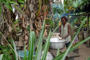 a woman smiles while cutting up stew ingredients over a large aluminum pot in an outdoor kitchen area surrounded by tropical trees and plants.