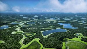 an aerial view of expansive green wetlands with blue lakes interspersed.