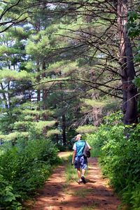 A man walking down a dirt path in the woods.